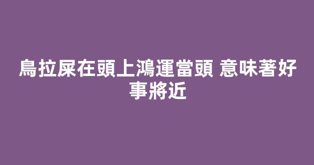 鳥拉屎在頭上鴻運當頭 意味著好事將近